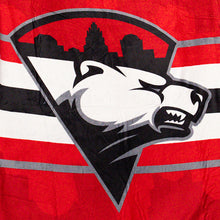 Load image into Gallery viewer, Charlotte Checkers Blanket