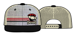 Gray Striped Primary Logo Hat