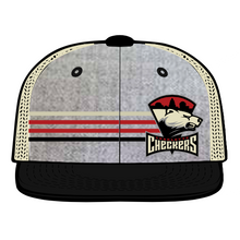 Load image into Gallery viewer, Gray Striped Primary Logo Hat