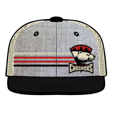 Gray Striped Primary Logo Hat