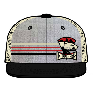 Gray Striped Primary Logo Hat