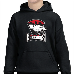 Youth Primary Hoodie